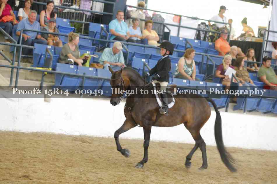 Proof 15R14_00949
