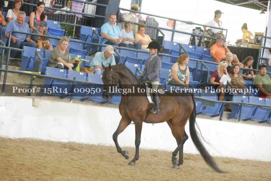 Proof 15R14_00950