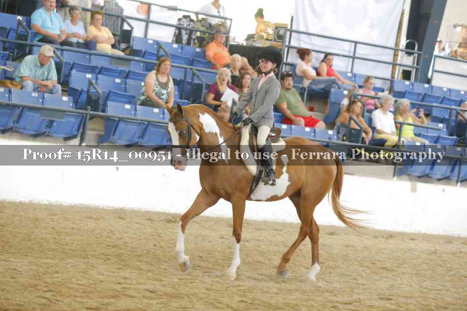 Proof 15R14_00951