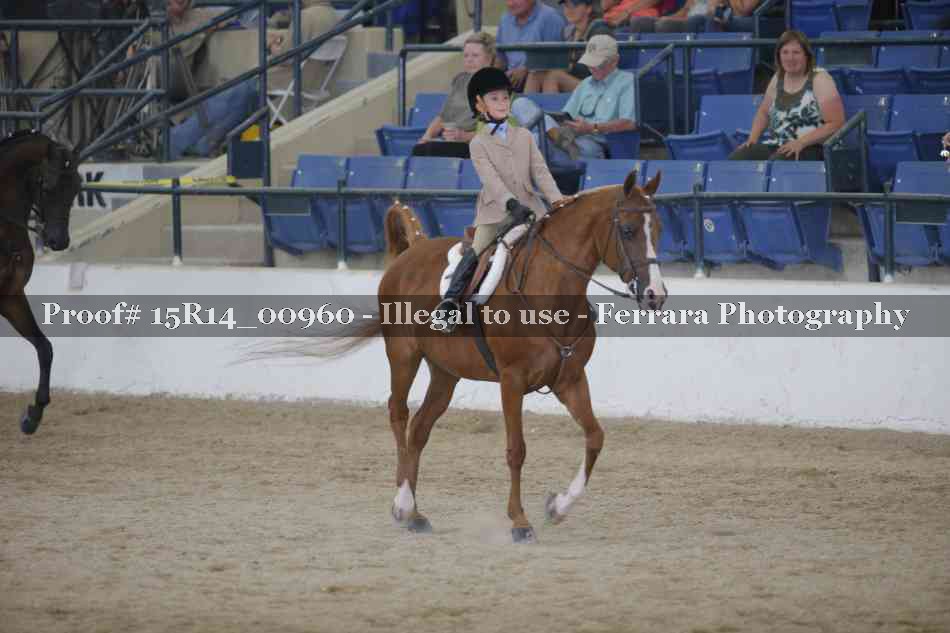 Proof 15R14_00960