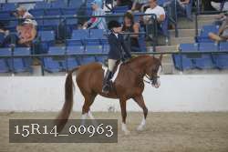 15R14_00963 proof