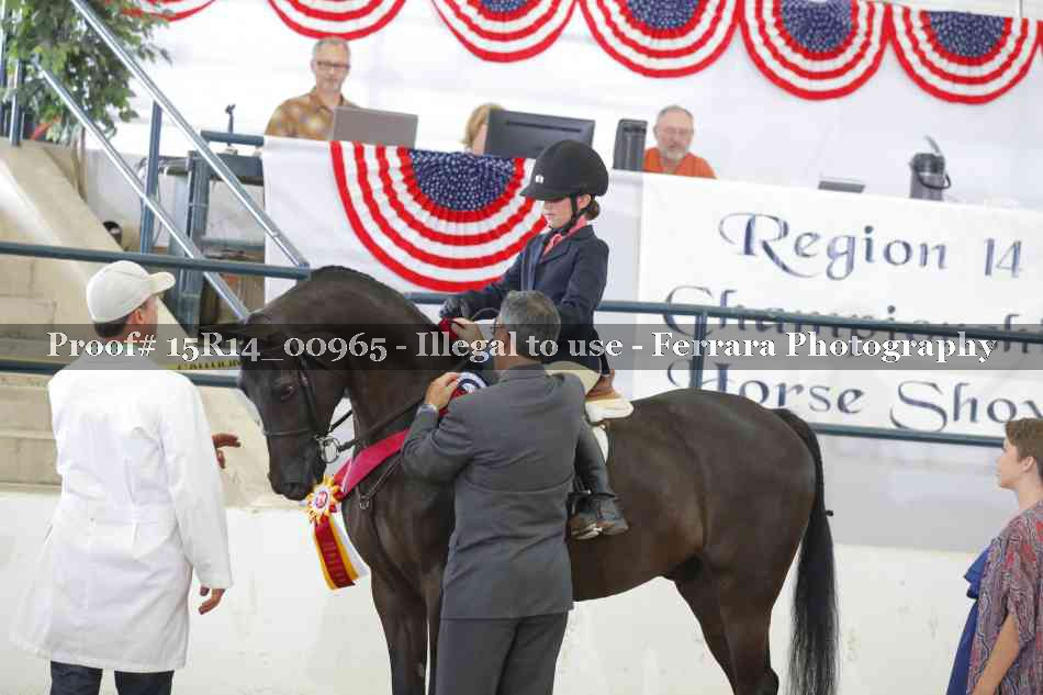 Proof 15R14_00965