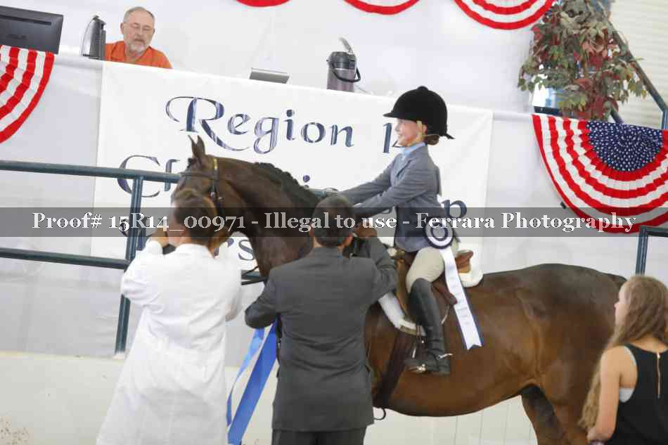 Proof 15R14_00971
