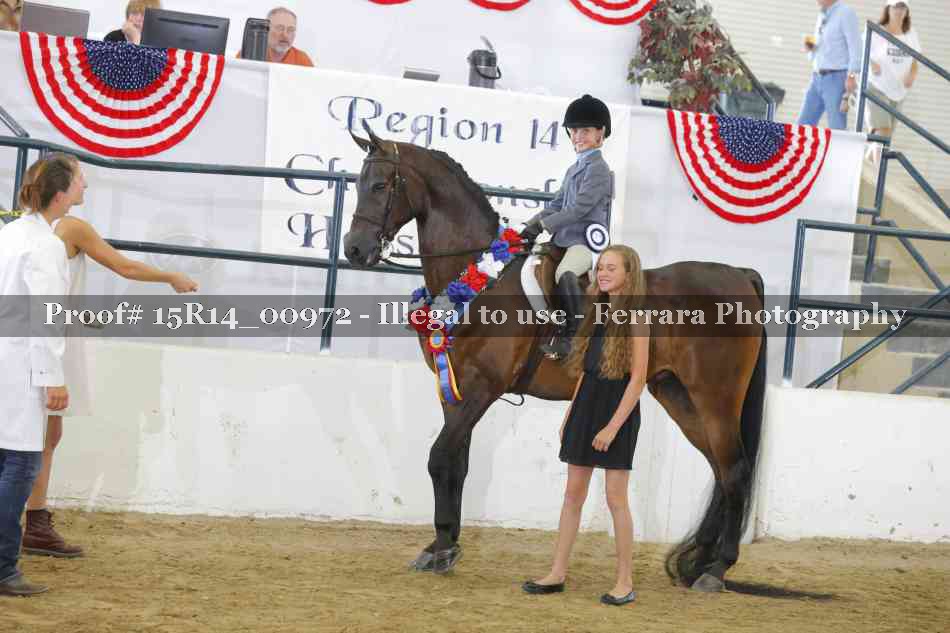 Proof 15R14_00972
