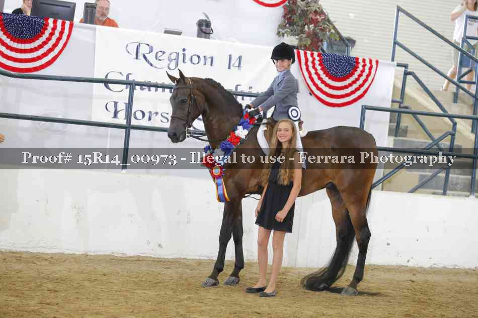 Proof 15R14_00973
