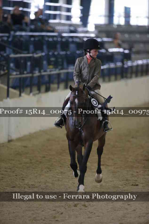 Proof 15R14_00975