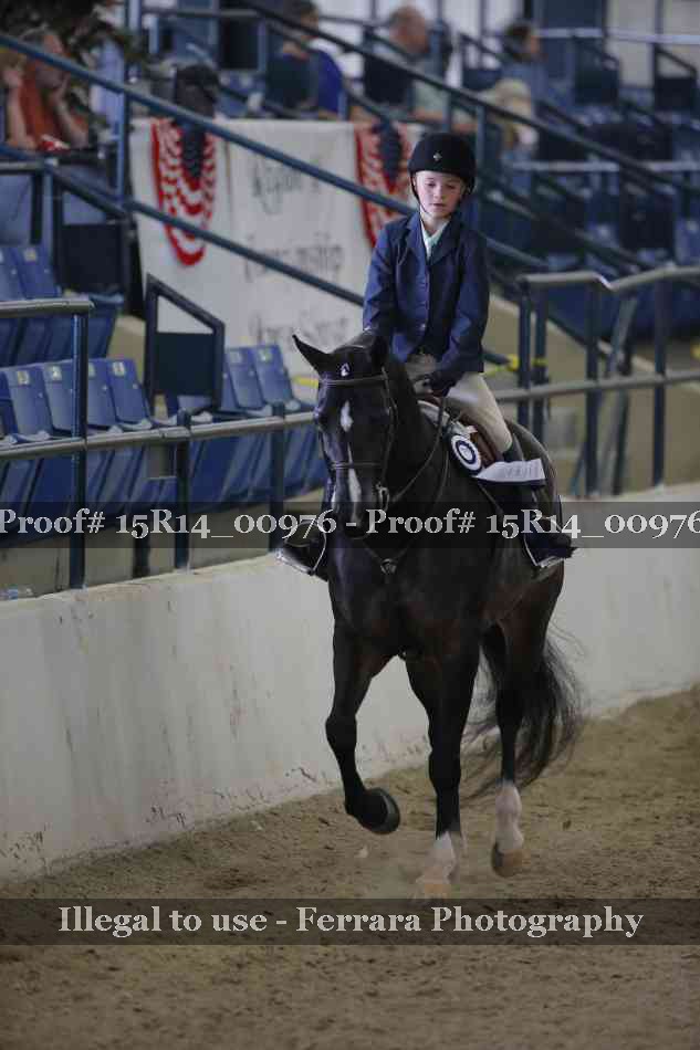 Proof 15R14_00976