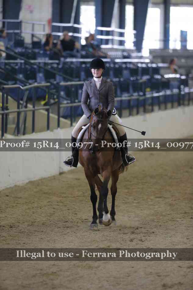 Proof 15R14_00977