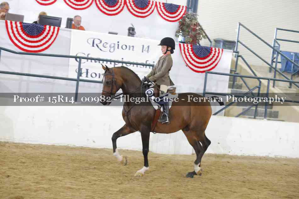 Proof 15R14_00982