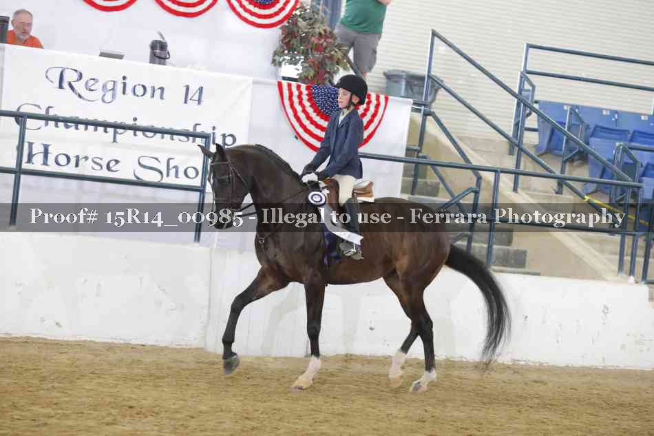 Proof 15R14_00985