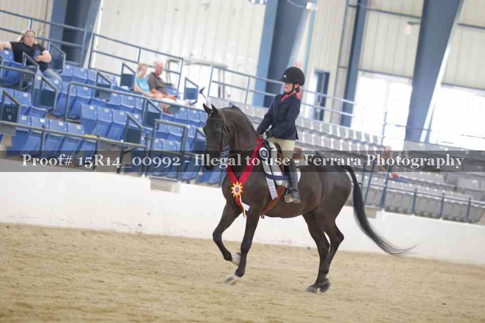 Proof 15R14_00992