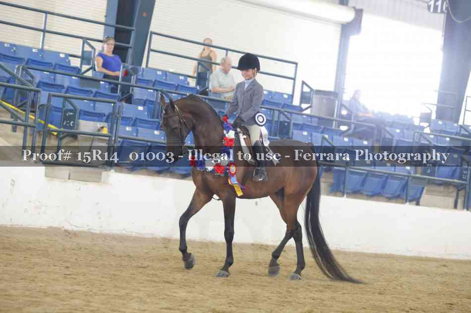 Proof 15R14_01003