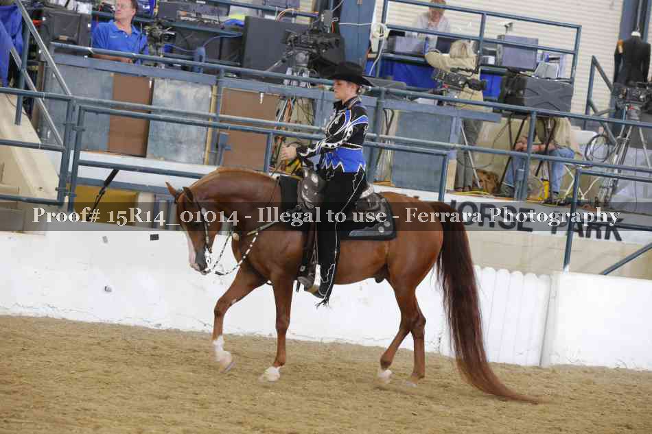 Proof 15R14_01014