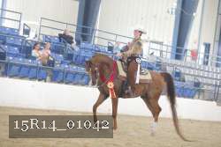 15R14_01042 proof