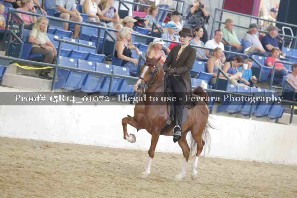 Proof 15R14_01072