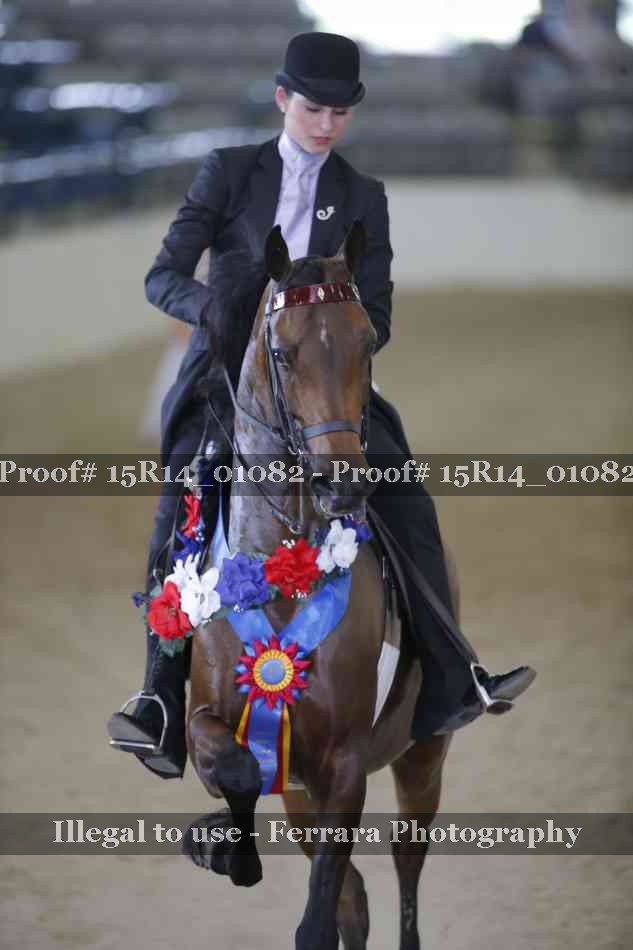 Proof 15R14_01082