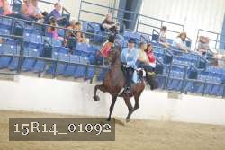 15R14_01092 proof