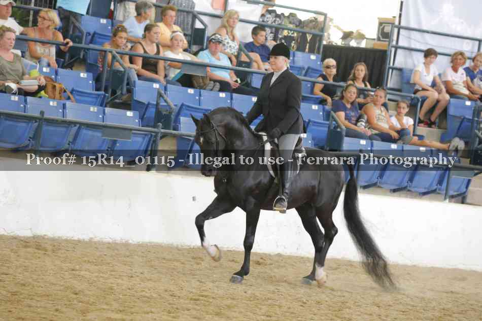 Proof 15R14_01115