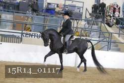15R14_01117 proof