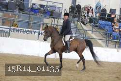15R14_01135 proof