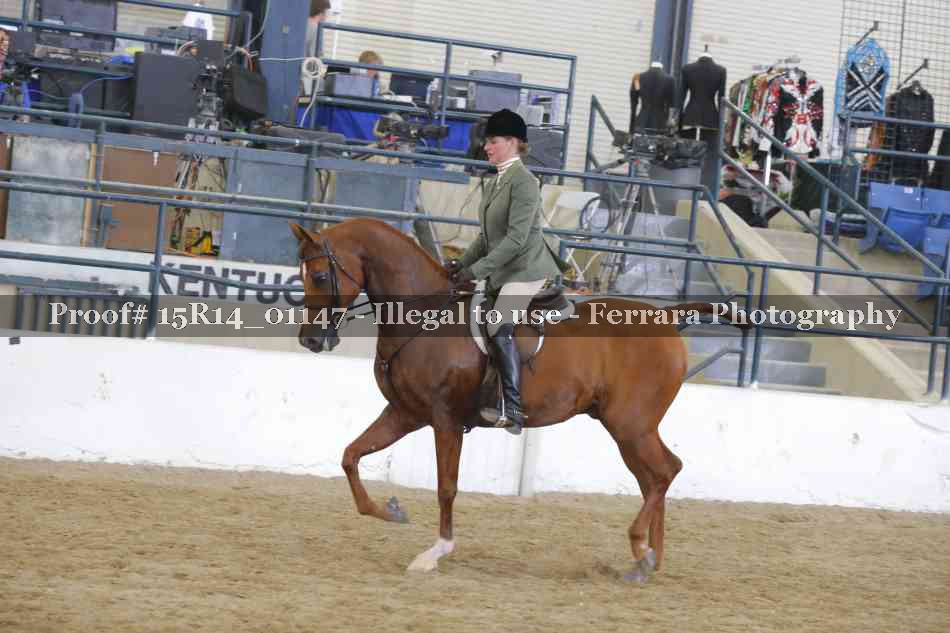 Proof 15R14_01147