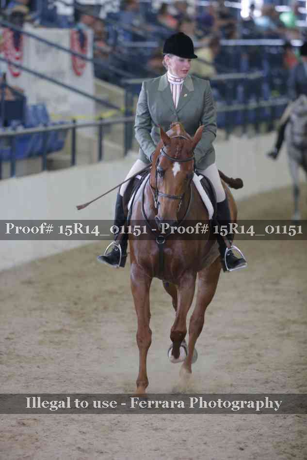 Proof 15R14_01151