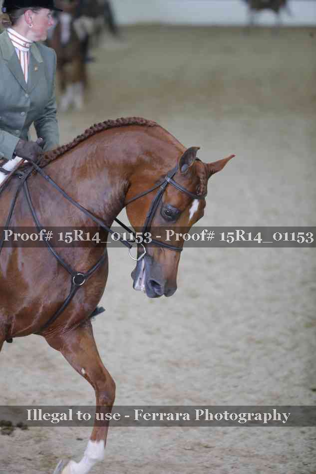 Proof 15R14_01153