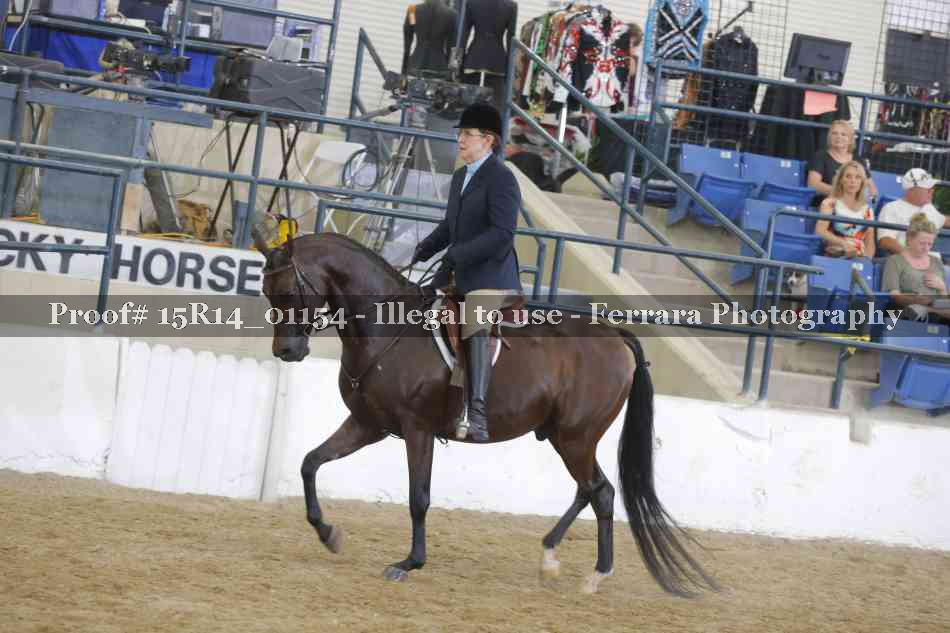 Proof 15R14_01154