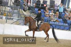 15R14_01157 proof