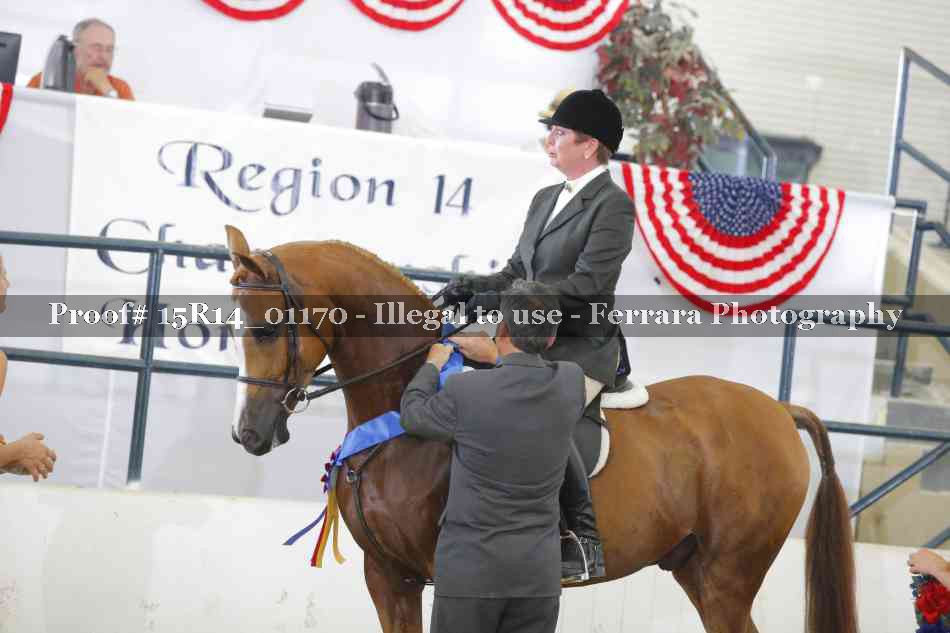 Proof 15R14_01170