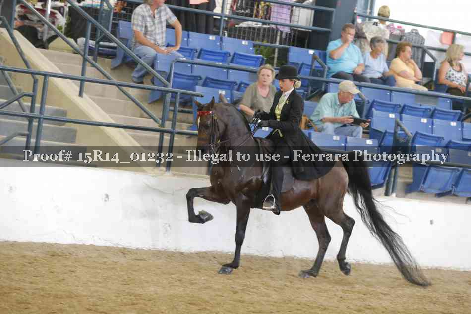 Proof 15R14_01232