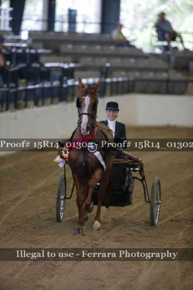 Proof 15R14_01302