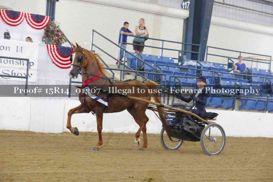 Proof 15R14_01307
