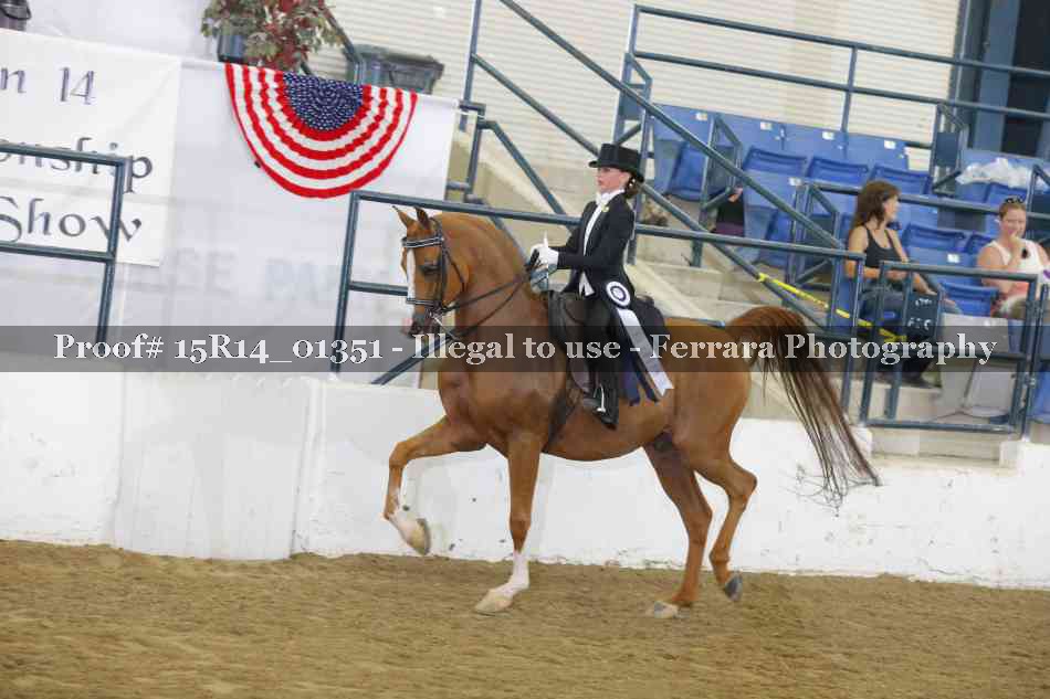 Proof 15R14_01351