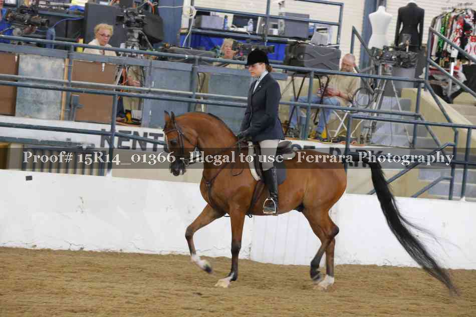 Proof 15R14_01366