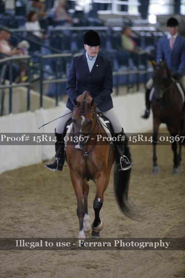 Proof 15R14_01367