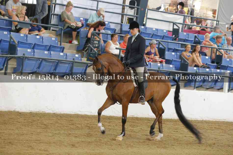 Proof 15R14_01383