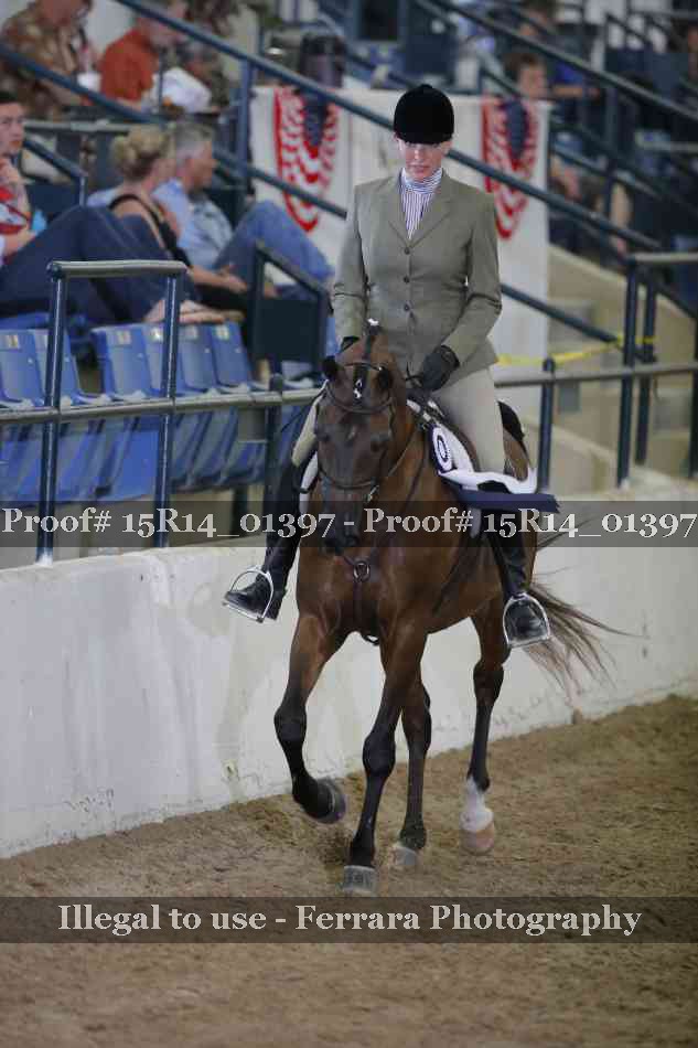 Proof 15R14_01397