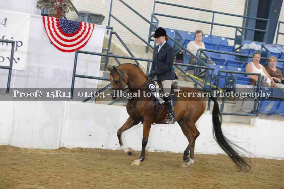Proof 15R14_01403