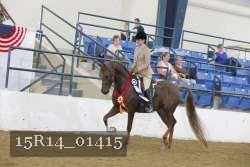 15R14_01415 proof