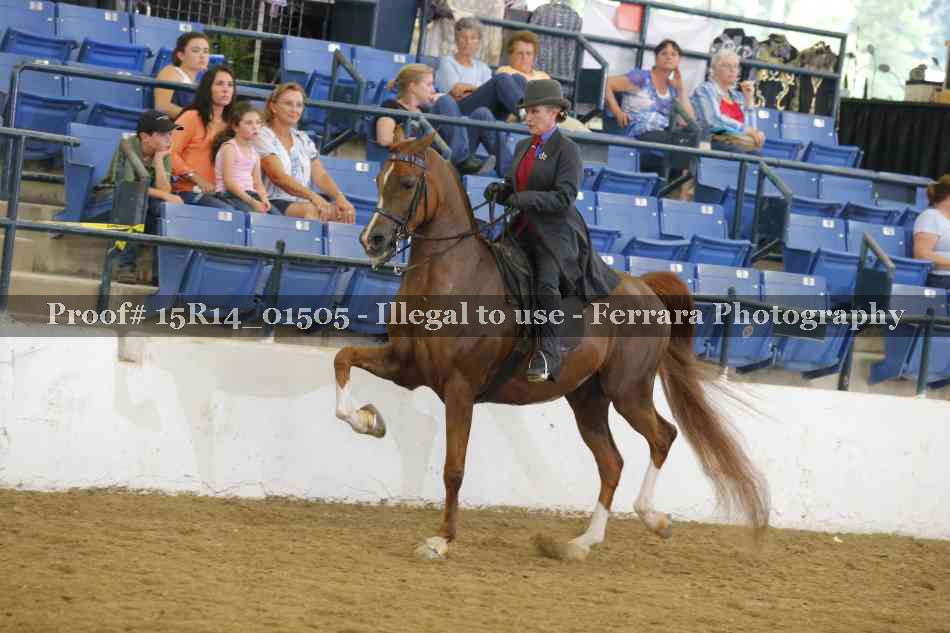 Proof 15R14_01505