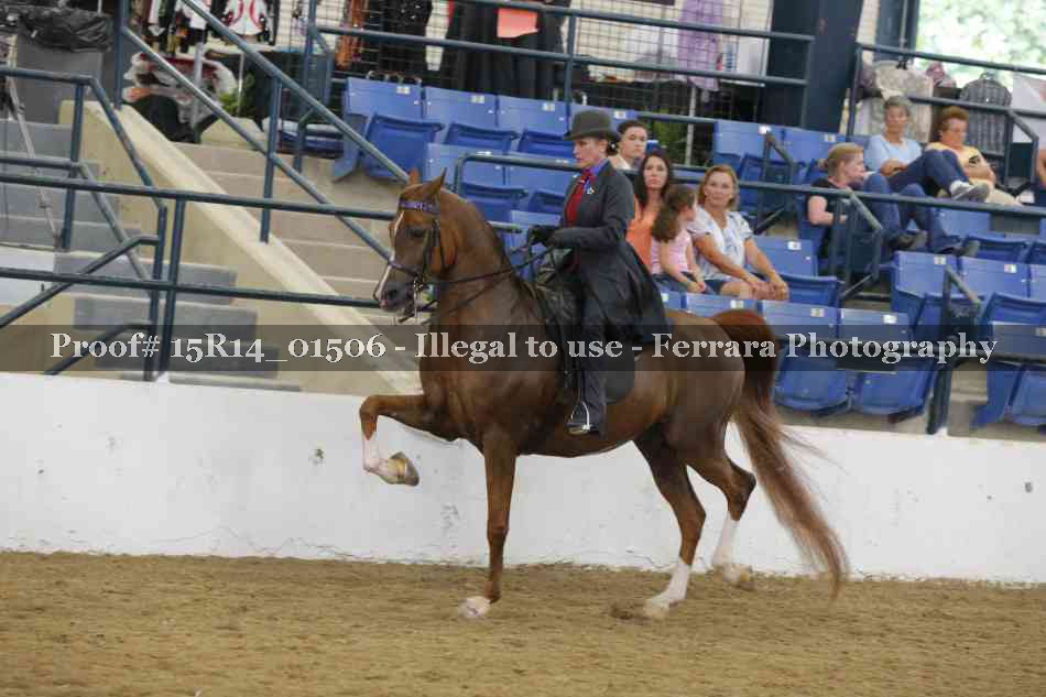 Proof 15R14_01506