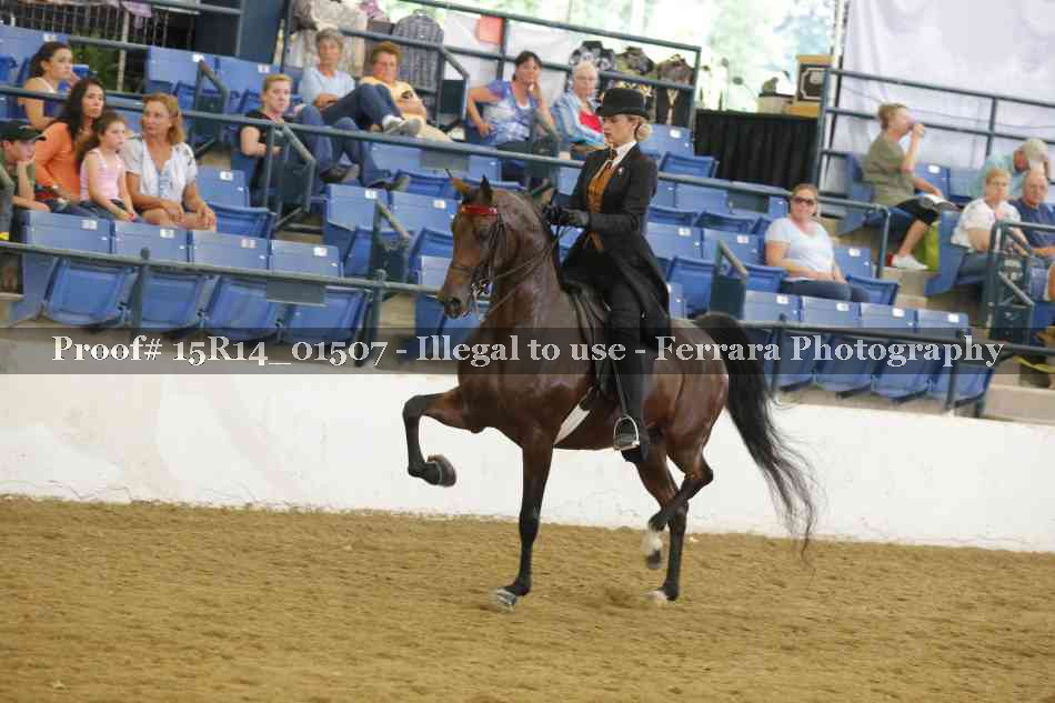 Proof 15R14_01507