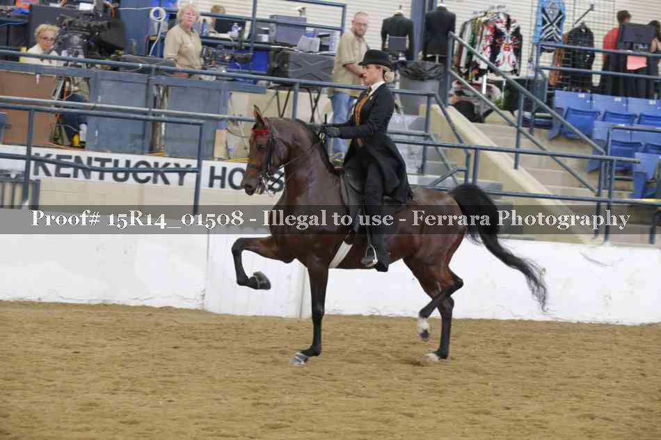 Proof 15R14_01508