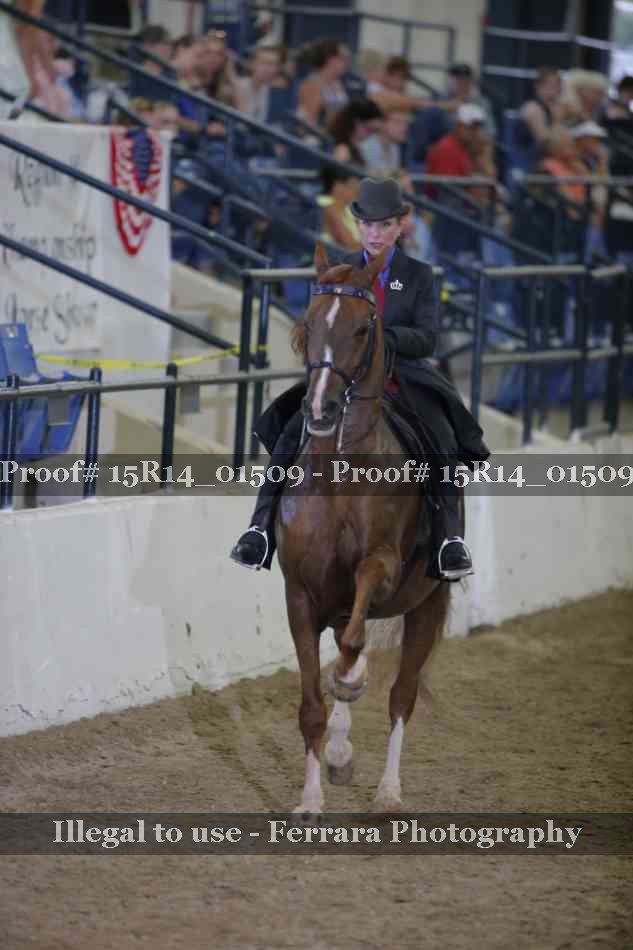 Proof 15R14_01509
