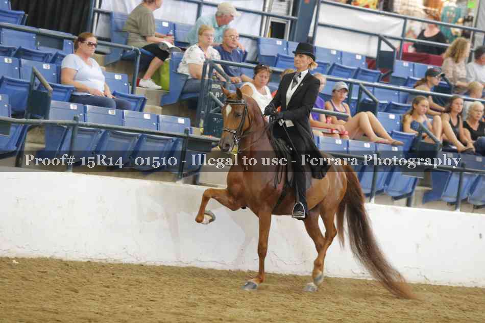 Proof 15R14_01510