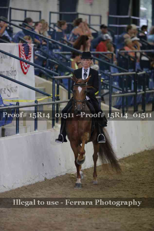 Proof 15R14_01511