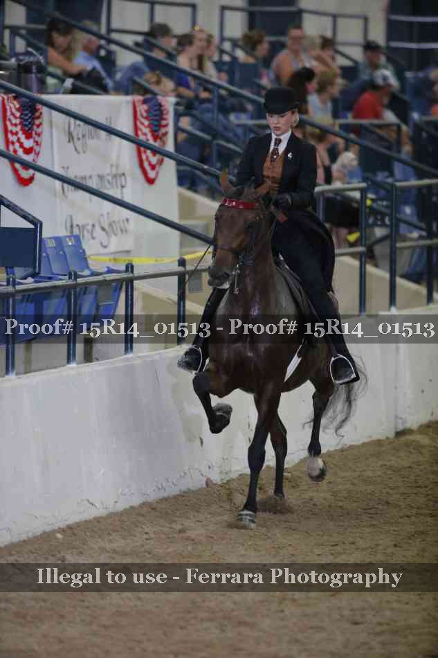 Proof 15R14_01513