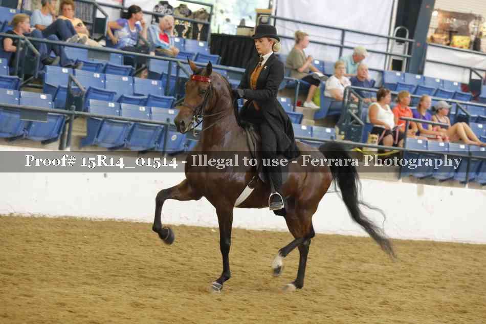 Proof 15R14_01514