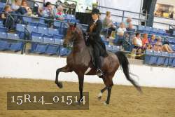 15R14_01514 proof